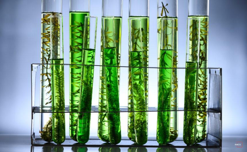 Green biotech samples in test tubes symbolizing innovation and venture capital investment in life sciences