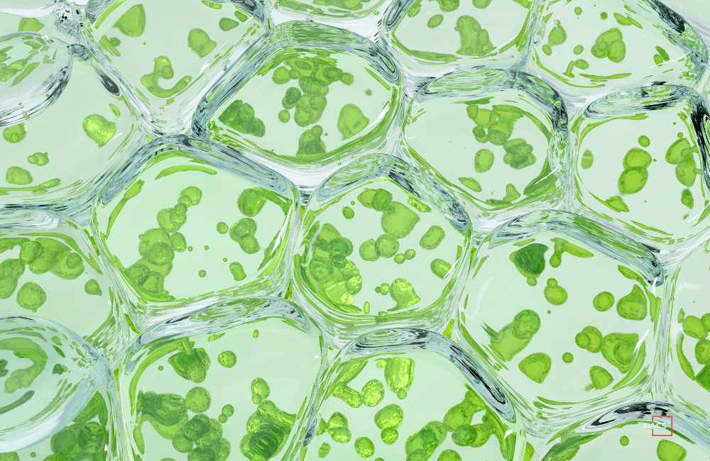 IT Compliance Helps Biotech Firms Gain Faster FDA Approval
