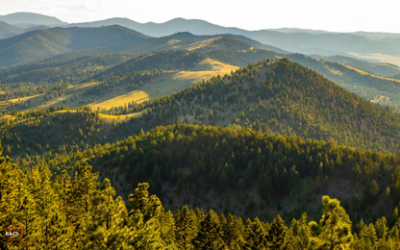 We Expanded! Managed IT Services Now Available in Tennessee and Raleigh Durham