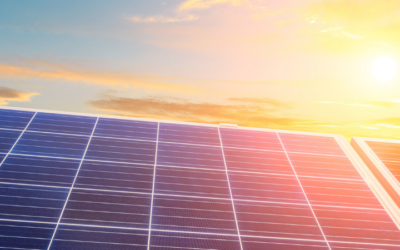 Building Resilience in a Volatile Market: Clean Solar and BACS IT on the Future of Rooftop Energy