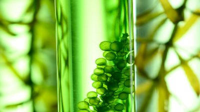 What a $5M Series A Biotech Firm Actually Needs from IT